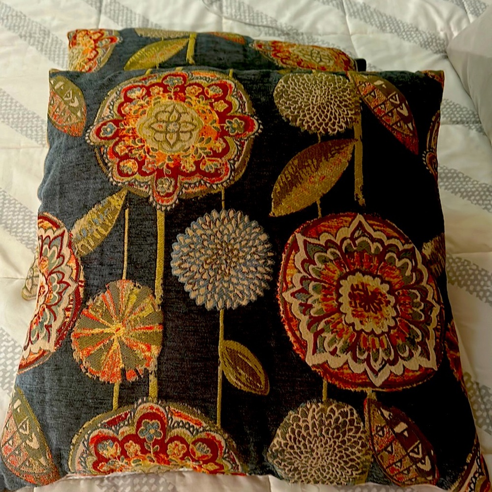 1 of 2 decorative pillows